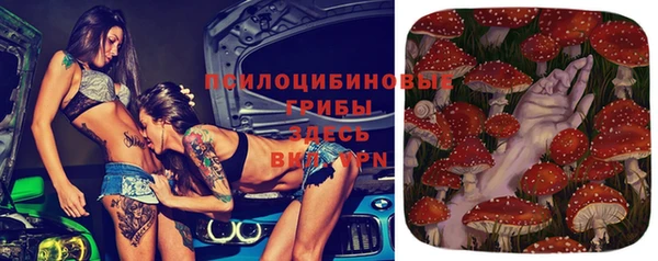 СК Михайловка