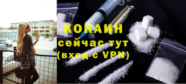 дживик Михайлов