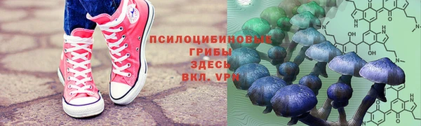 дживик Михайлов